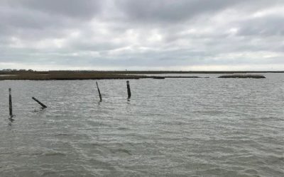 Finding Fishing Spots in Galveston Bay