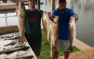 What Type of Fish You Can Find At Galveston Bay
