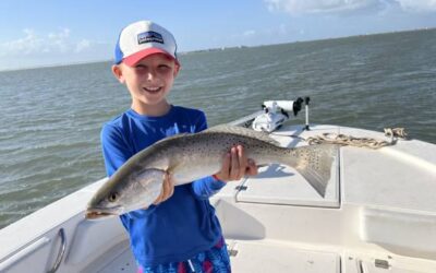 Speckled Trout Galveston Bay