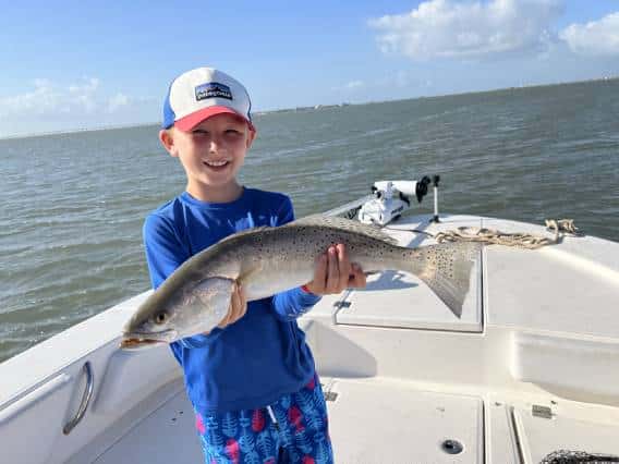Speckled Trout Galveston Bay