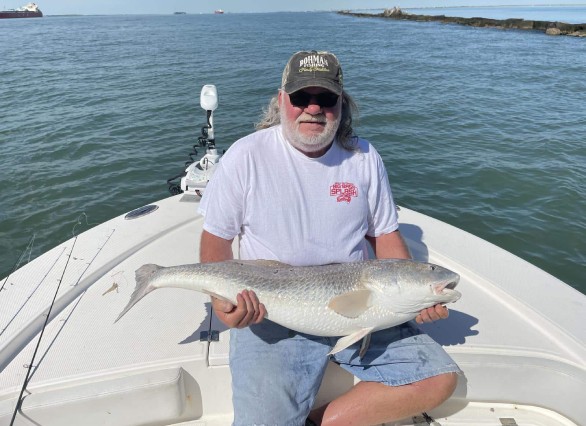 Bull redfish Galveston Texas